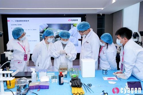 尖端技术与科研合作共启新篇——亚太实验动物科学与技术前沿峰会暨显微注射与turboivf繁育体系高级研修班圆满落幕